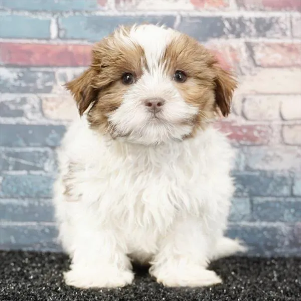 2875815c6929727-be97-4a8e-9aa4-39cf9775d402AirBrush_20260401114853.jpg image