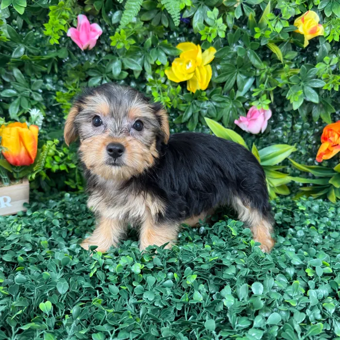 image_cropper_12C61B5E-1437-4F8F-9BA4-5EE2B2140463-14443-00000289DC482827.jpg image