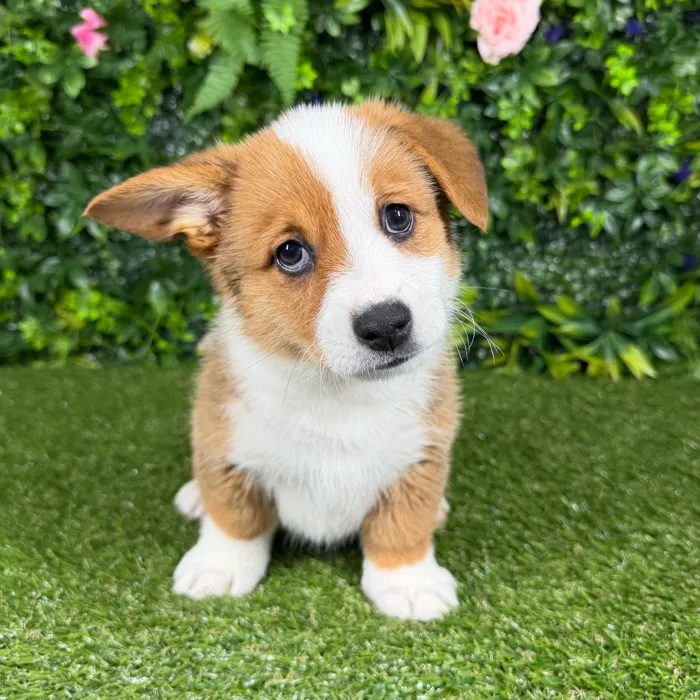 image_cropper_6D4FCDC0-A89E-4436-989B-EA54F16A34D7-71076-00000ED03322E8B2.jpg image