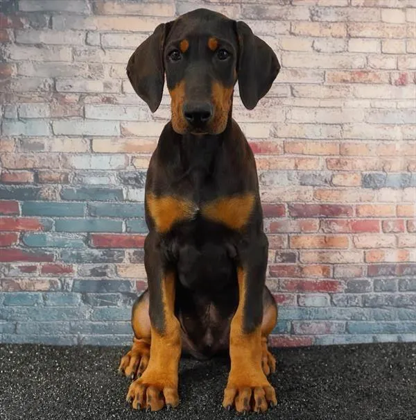 28986937d1cdf1f-b05a-4676-a9f2-23f55f6b001dAirBrush_20260429183752.jpg