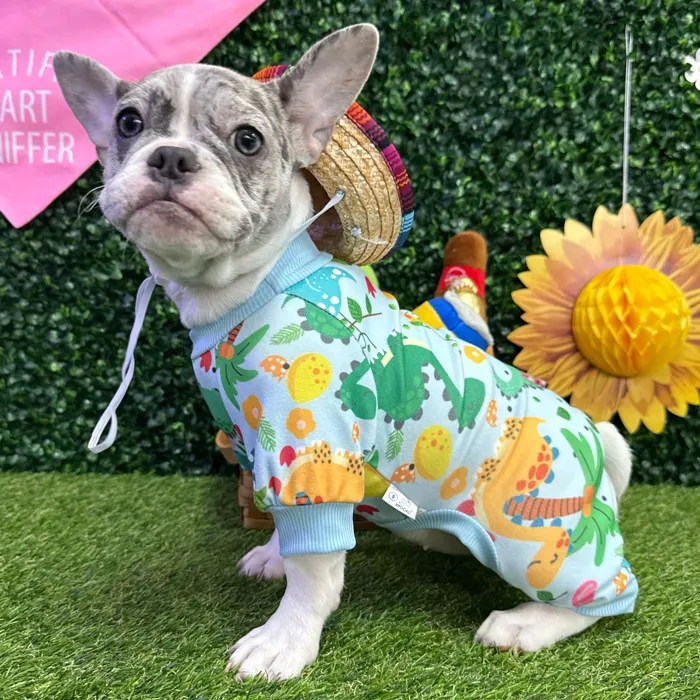 Female French Bulldog puppy named Nugget for sale at Puppy Dreams - Missouri City.