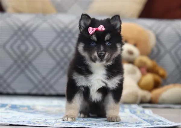 28845911317eeec-024b-43dc-a492-87198fb635c49719ppp.JPG